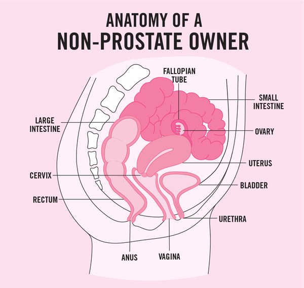 non prostate
