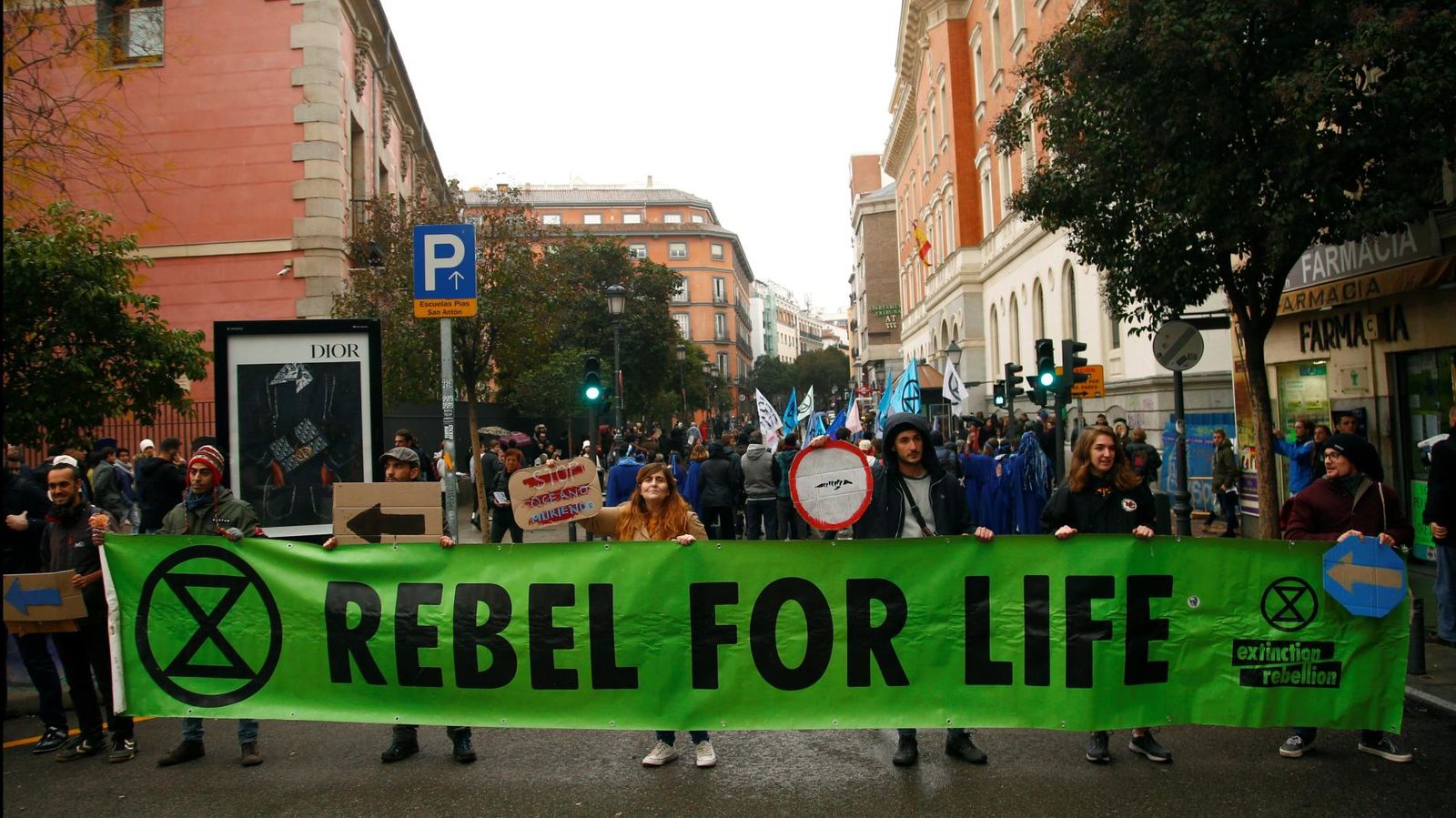 Extinction Rebellion utiliza la holocracia y la ayahuasca para escalar su movimiento internacional