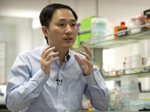 Científico chino responsable de bebés editados genéticamente ha desaparecido