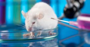 Científicos han eliminado el VIH en ratones