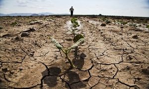 ¿Es inevitable una crisis alimentaria mundial?