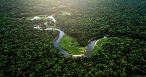 El papa hace un llamado a un COMPROMISO MUNDIAL por el Amazonas
