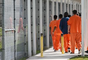 Departamento de Justicia pone en marcha la recolección masiva de ADN de inmigrantes detenidos
