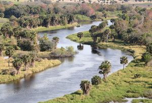 Los arroyos y lagos tienen derechos, decidió un condado de EE.UU. Ahora están demandando a Florida.