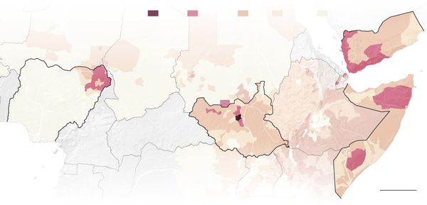 Guerras en cuatro países han dejado 20 millones de personas al borde del hambre