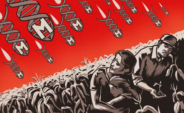 Monsanto acusado de contratar ejército de trolls para silenciar la disidencia en línea